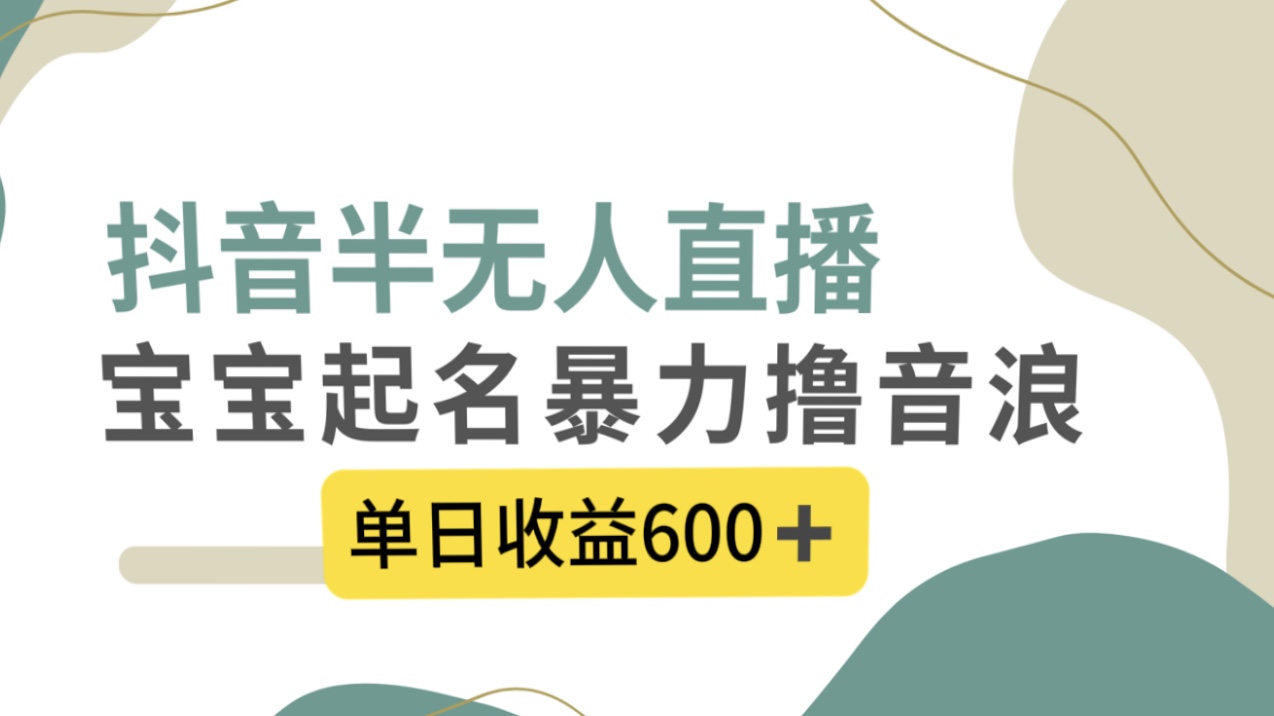 （8192期）抖音半无人直播，宝宝起名，暴力撸音浪，单日收益600+插图