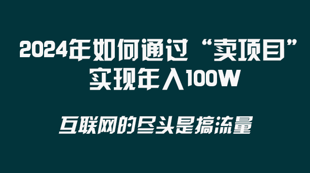 （8382期） 2024年如何通过“卖项目”实现年入100W插图