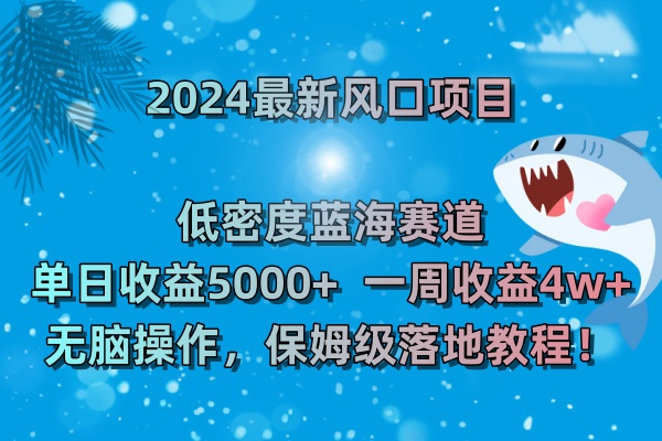 （8545期）2024最新风口项目 低密度蓝海赛道，日收益5000+周收益4w+ 无脑操作，保…插图