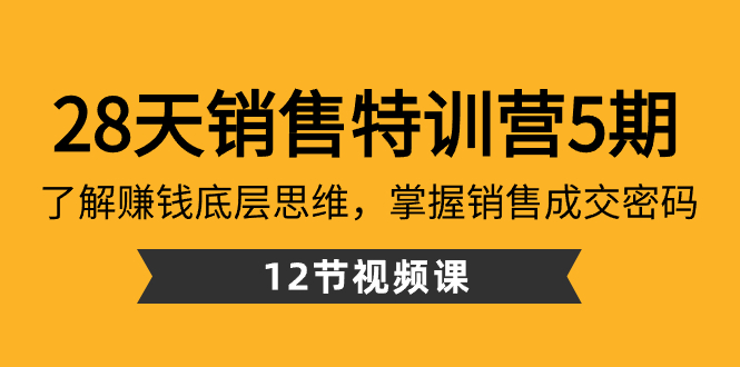 （8659期）28天·销售特训营5期：了解赚钱底层思维，掌握销售成交密码（12节课）插图