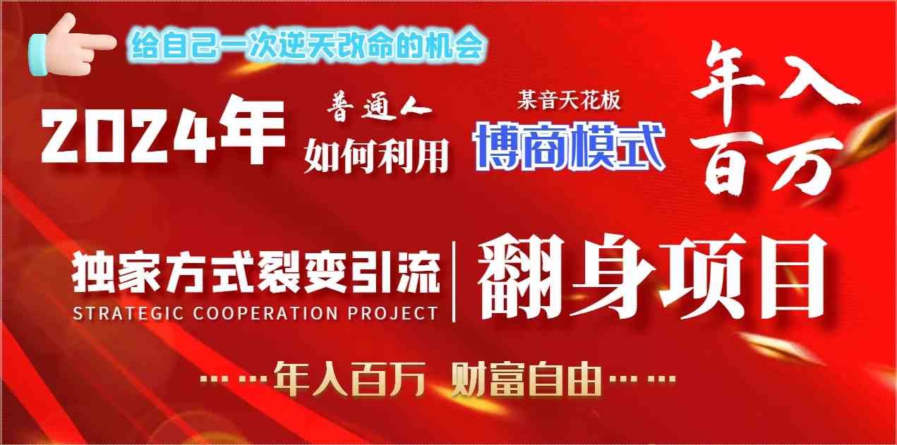 （9027期）2024年普通人如何利用博商模式做翻身项目年入百万，财富自由插图