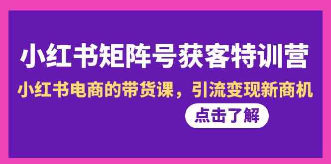 （8909期）小红书-矩阵号获客特训营-第10期，小红书电商的带货课，引流变现新商机插图