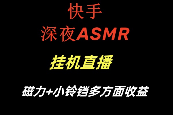 （8757期）快手深夜ASMR挂机直播磁力+小铃铛多方面收益插图