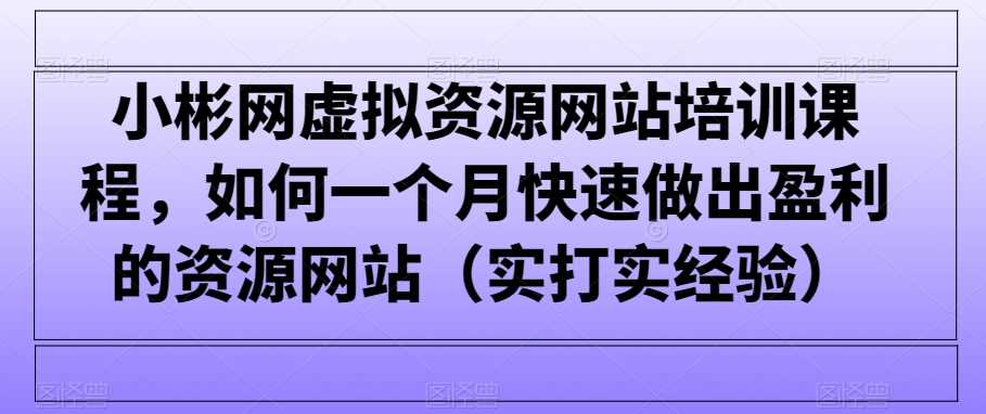 小彬网虚拟资源网站培训课程，如何一个月快速做出盈利的资源网站（实打实经验）插图