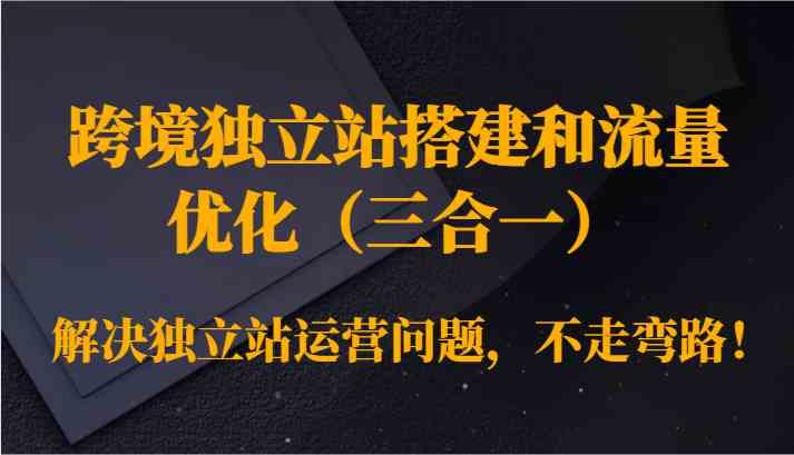 跨境独立站搭建和流量优化（三合一）解决独立站运营问题，不走弯路！插图