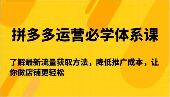 拼多多运营必学体系课-了解最新流量获取方法，降低推广成本，让你做店铺更轻松插图