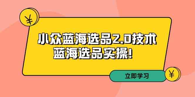 （9189期）拼多多培训第33期：小众蓝海选品2.0技术-蓝海选品实操！插图