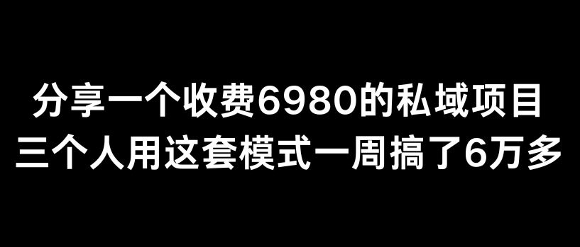 分享一个外面卖6980的私域项目三个人用这套模式一周搞了6万多【揭秘】插图