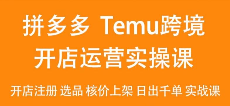 2024Temu最新玩法，Temu跨境开店运营实操课，开店注册/选品/核价上架/日出千单实战课插图