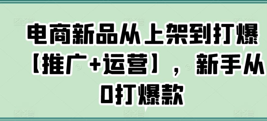 电商新品从上架到打爆【推广+运营】，新手从0打爆款插图