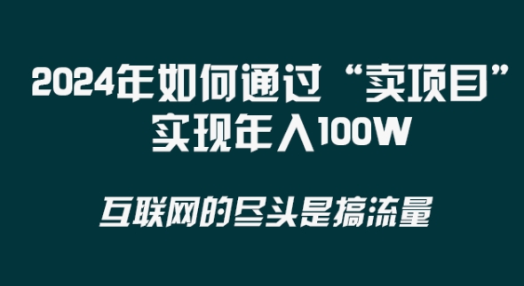 2024年 做项目不如‘卖项目’更快更直接！年入100万插图