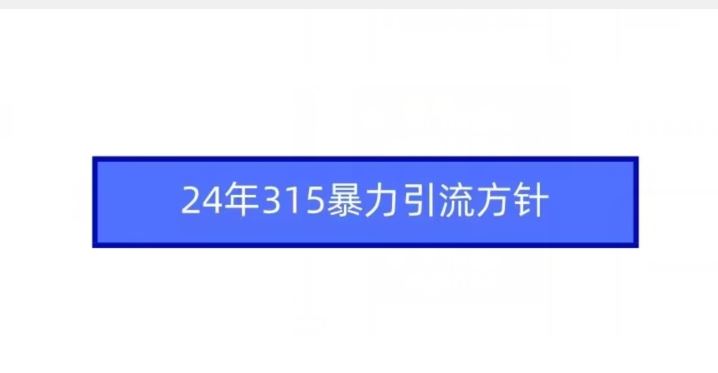 24年315暴力引流方针插图