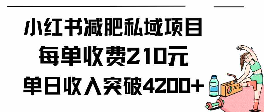 （9466期）小红书减肥私域项目每单收费210元单日成交20单，最高日入4200+插图