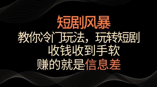 短剧风暴，教你冷门玩法，玩转短剧，收钱收到手软【揭秘】插图