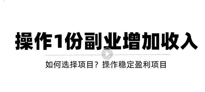 （3217期）新手如何通过操作副业增加收入，从项目选择到玩法分享！【视频教程】插图