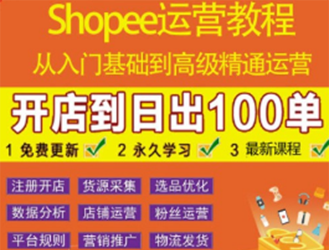 （3334期）shopee运营教程：从入门基础到高级精通，开店到日出100单（全套课程）插图