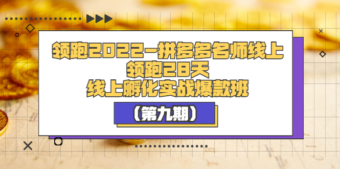 （3370期）领跑2022-拼多多名师线上领跑28天，线上孵化实战爆款班（第九期）插图