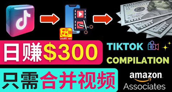 （3360期）搬运Tiktok短视频到Youtube赚钱，只需下载，合并视频，日赚300美元插图