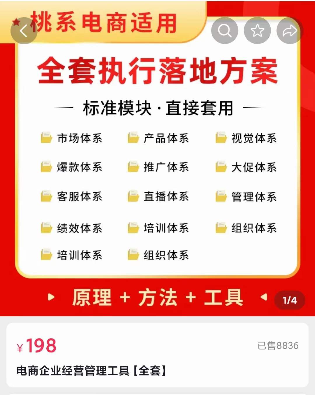 （3439期）外面卖198·电商企业经营管理工具：全套执行落地方案 标准模块·直接套用插图1