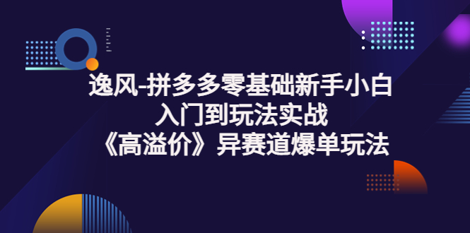 （3435期）逸风-拼多多零基础新手小白入门到玩法实战《高溢价》异赛道爆单玩法实操课插图