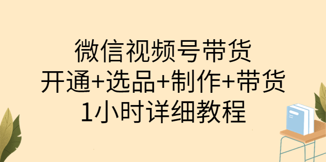 （3515期）陈奶爸·微信视频号带货：开通+选品+制作+带货（1小时详细教程）插图