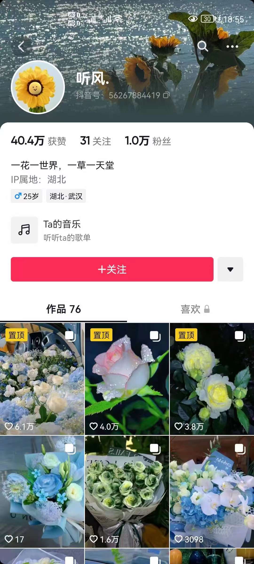 （3488期）抖音壁纸变现项目：实战日入380+发布壁纸素材获取收益！插图2