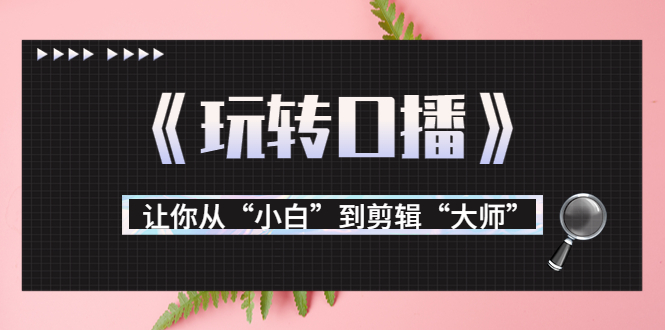 （3571期）月营业额700万+大佬教您《玩转口播》让你从“小白”到剪辑“大师”插图