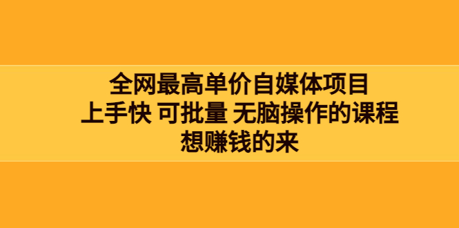 （3557期）全网最单高价自媒体项目：上手快 可批量 无脑操作的课程，想赚钱的来插图