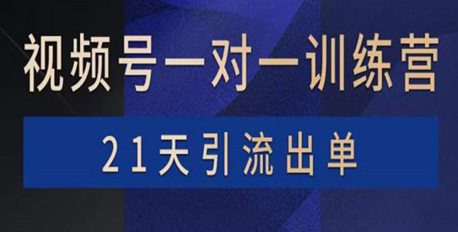 （3678期）视频号训练营：带货，涨粉，直播，游戏，四大变现新方向，21天引流出单插图