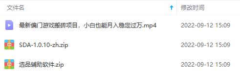 （3753期）最新偏门游戏搬砖项目，互联网小白照抄稳定月入过万（教程+软件）插图4