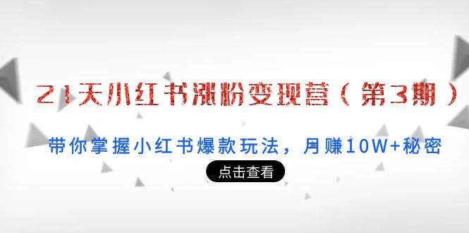 （3795期）21天小红书涨粉变现营（第3期）：带你掌握小红书爆款玩法，月赚10W+秘密插图