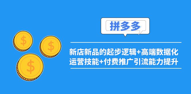 （3824期）2022拼多多：新店新品的起步逻辑+高端数据化运营技能+付费推广引流能力提升插图