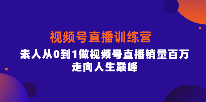 （3927期）行动派·视频号直播训练营，素人从0到1做视频号直播销量百万，走向人生巅峰插图