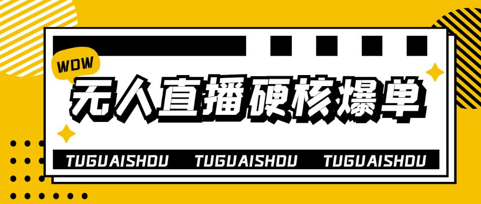 （3980期）大飞无人直播硬核爆单技术，轻松玩转无人直播，暴利躺赚插图