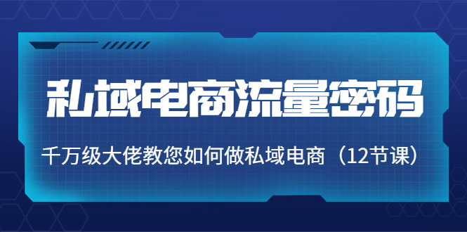 （3977期）私域电商流量密码：千万级大佬教您如何做私域电商（12节课）插图