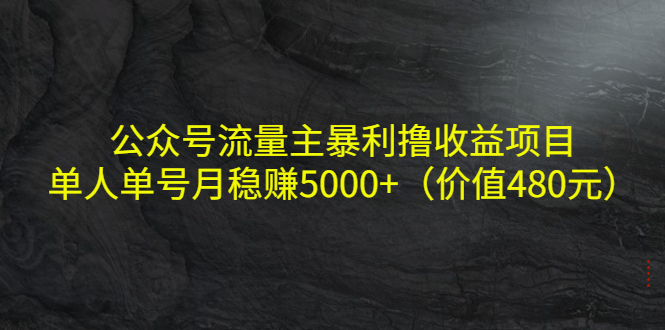 （4011期）公众号流量主暴利撸收益项目，单人单号月稳赚5000+（价值480元）插图