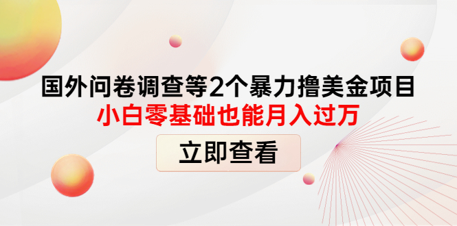 （4062期）国外问卷调查等2个暴力撸美金项目，小白零基础也能月入过万插图