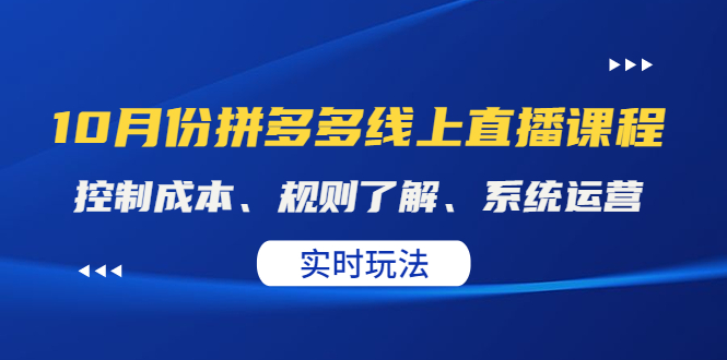 （4140期）某收费10月份拼多多线上直播课： 控制成本、规则了解、系统运营。实时玩法插图