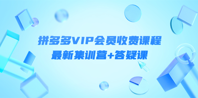 （4127期）某社群·拼多多VIP会员收费课程，最新集训营+答疑课-价值3299元插图