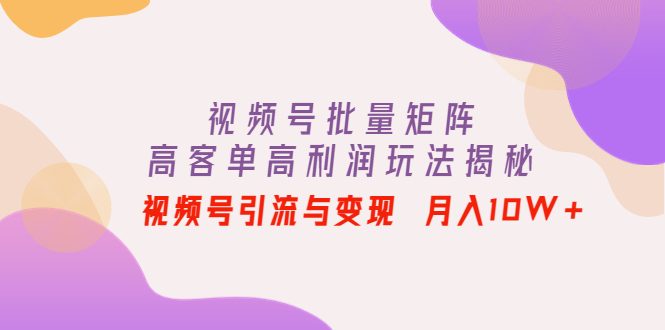 （4193期）视频号批量矩阵的高客单高利润玩法揭秘： 视频号引流与变现 月入10W+插图