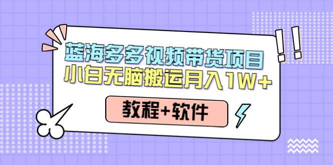 （4343期）人人都能操作的蓝海多多视频带货项目 小白无脑搬运月入10000+（教程+软件）插图