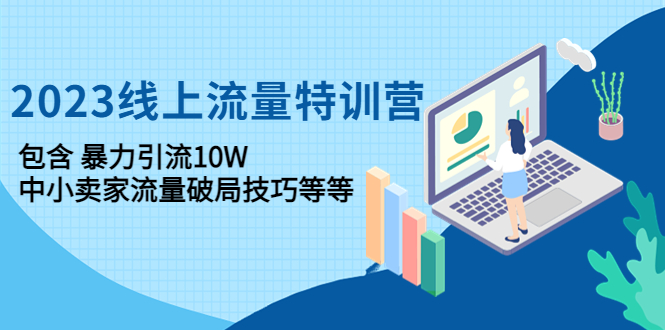 （4567期）2023线上流量特训营：包含暴力引流10W+中小卖家流量破局技巧等等插图