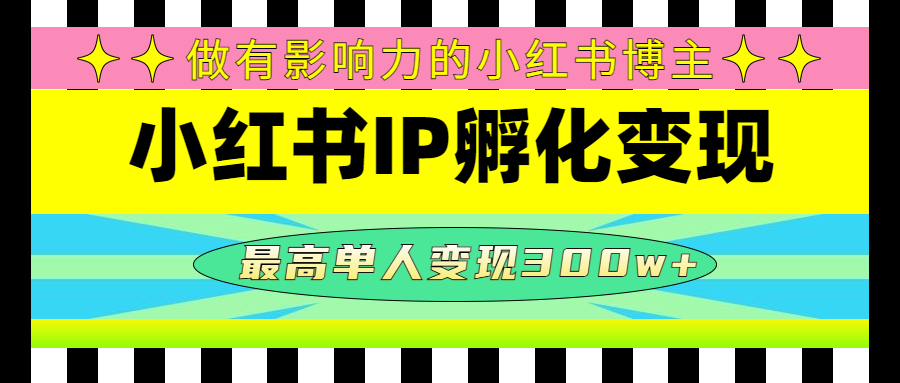 （4612期）某收费培训-小红书IP孵化变现：做有影响力的小红书博主，最高单人变现300w+插图