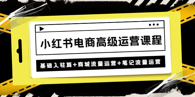 （4638期）小红书电商高级运营课程：基础入驻篇+商城流量运营+笔记流量运营插图