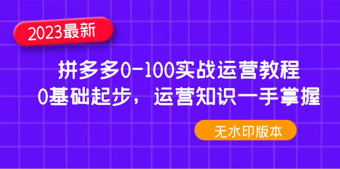 （4835期）2023拼多多0-100实战运营教程，0基础起步，运营知识一手掌握（无水印）插图