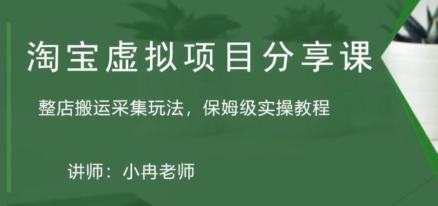 （5090期）淘宝虚拟整店搬运采集玩法分享课：整店搬运采集玩法，保姆级实操教程插图