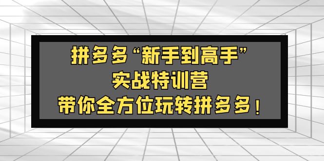 （5173期）拼多多“新手到高手”实战特训营：带你全方位玩转拼多多！插图