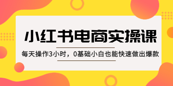 （5190期）小红书·电商实操课：每天操作3小时，0基础小白也能快速做出爆款！插图