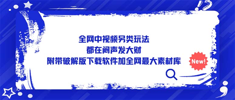 （5242期）全网中视频另类玩法，都在闷声发大财，附带破解版下载软件加全网最大素材库插图