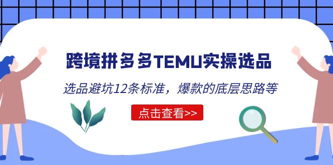 （5402期）跨境拼多多TEMU实操选品运营方法，选品避坑12条标准，爆款的底层思路等插图